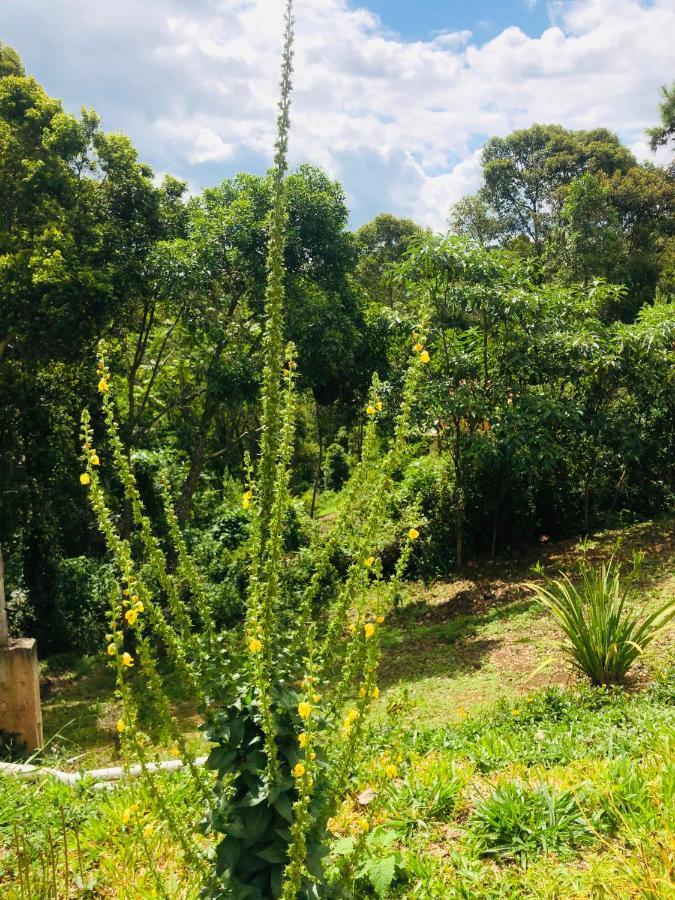 All Green Residence Monte Verde  Esterno foto